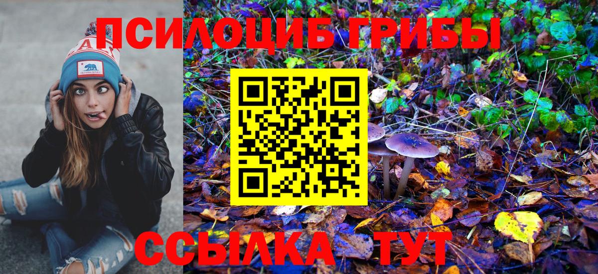 Псилоцибиновые грибы Cubensis  Вход с VPN  Ростов Великий 