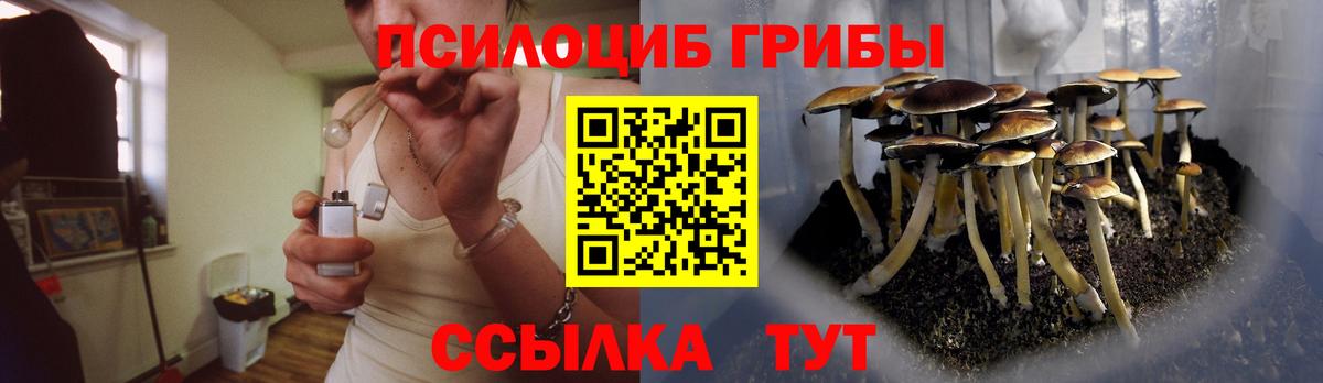 Псилоцибиновые грибы Psilocybine cubensis Ростов Великий